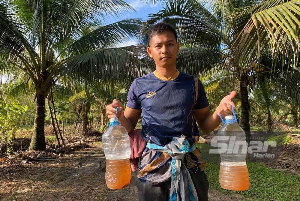 Muhamad Badrul Amin menunjukkan nira kelapa yang dipunggutnya.