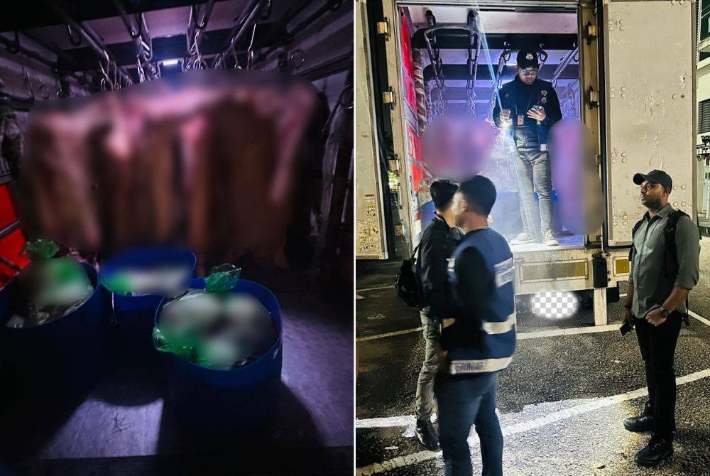Polis menemui 90 keping karkas babi yang dipercayai diseludup dari negara jiran dalam sebuah lori di Taman Industri Jaya, Skudai, Jumaat lalu.- Foto: IPD Iskandar Puteri