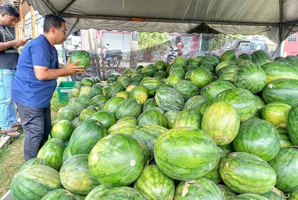 Salahuddin memilih tembikai merah seperti dikehendaki pelanggan.