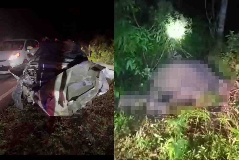 Keadaan kereta selepas terlanggar seekor gajah di jalan Kahang-Nitar, Mersing.