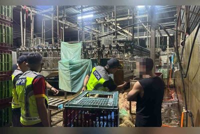 KPDN melaksanakan Op Pantau di pusat penyembelihan ayam.