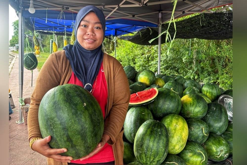 Alia Natasya menunjukkan buah tembikai seberat 11kg yang dijualnya.