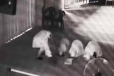 Tangkap layar rakaman CCTV menunjukkan suspek memakai telekung sebelum mencuri beg tangan seorang jemaah.