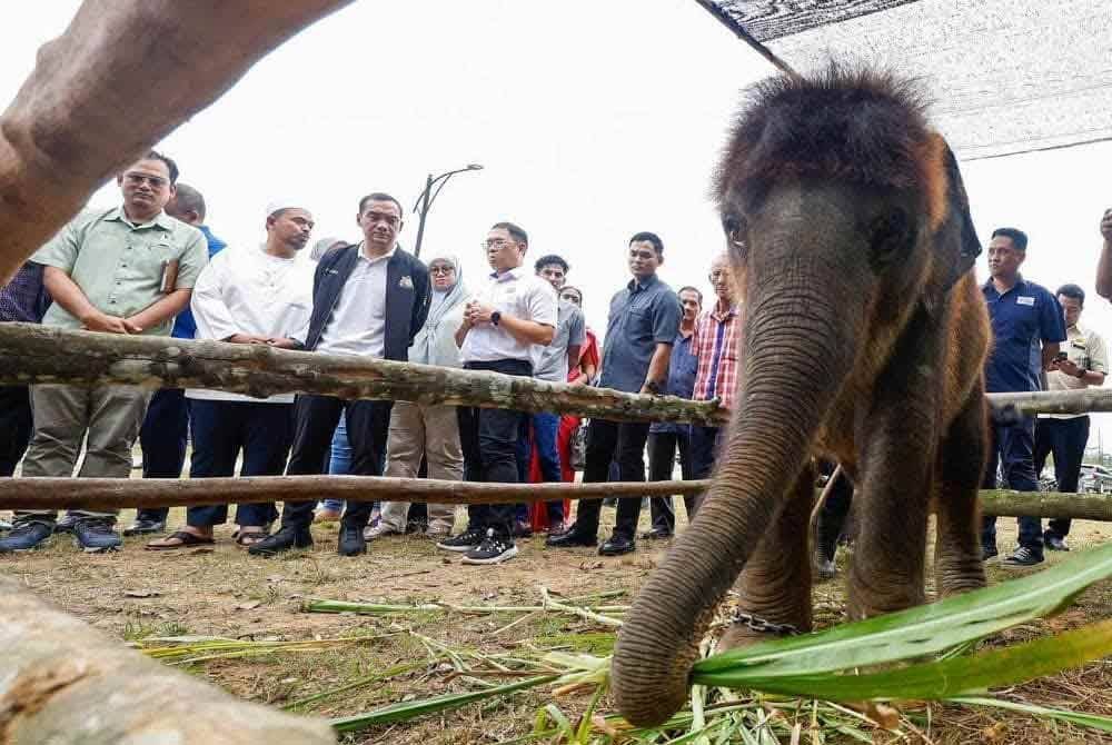 Onn Hafiz melawat Pusat Santuari Gajah di Kota Tinggi baru-baru ini.
