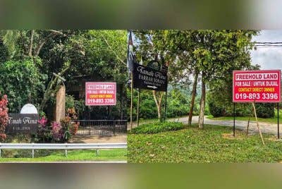 Kesemua Tanah Aina di Pahang akan dijual. Foto FB Sabrina Syed