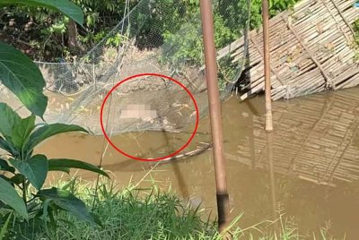 Mayat lelaki tanpa berpakaian ditemui terapung di Sungai Alor Merah, Alor Setar pada Ahad. - Foto tular