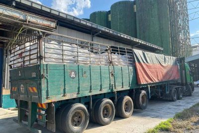 Sebuah lori penuh dengan muatan beras putih ditahan di Jitra pada Ahad. - Foto: PGA