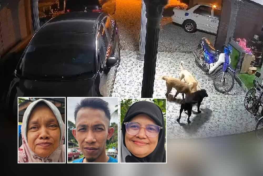 Tangkap layar kamera litar tertutup (CCTV) dapat melihat anjing-anjing liar ini menganggu dan merosakkan kasut milik penduduk Kampung Seri Kaya, Bota. Foto ihsan pembaca (Gambar dari kiri: Nor Hana, Rahimi, Norehan)