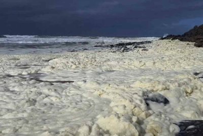 Kemunculan buih putih yang mencacatkan pemandangan Pantai Parsons dan Waitpinga.
