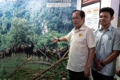 Ahmad Maslan ketika melawat Pusat Konservasi Hidupan Liar Gua Musang selepas taklimat menaiktaraf fasiliti pembiakan spesies mangsa untuk Harimau Malaya pada Selasa. Foto Bernama