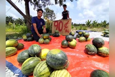 Mohd Bukhari berada di gerai jualan sementara yang dibina bagi jualan terus kepada pembeli dengan harga rendah.