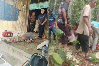 Seorang penoreh getah hampir putus pergelangan tangan kanan manakala anggota Perhilitan mengalami cedera parah apabila seekor gajah 'naik minyak' di Kampung Laloh, Kuala Krai pada Khamis.
