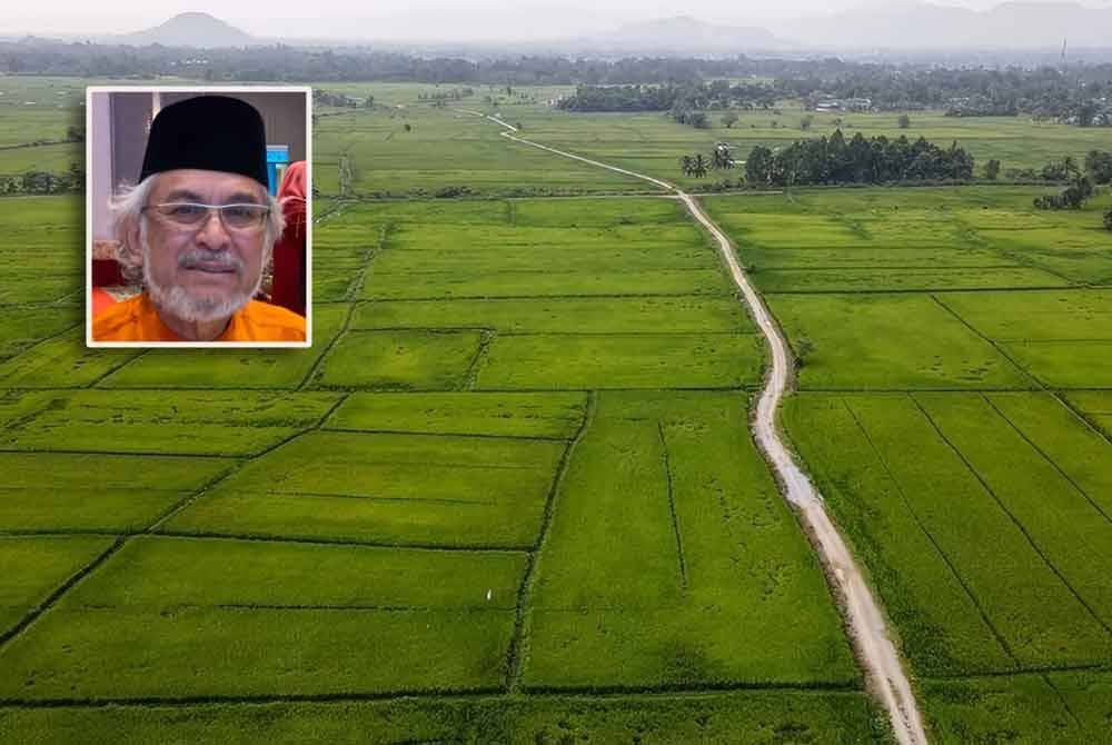 KADA menjangkakan 93 peratus padi yang diusahakan oleh pesawah dibawah seliaan agensi itu melibatkan keluasan 25,055 dapat dituai dengan jayanya musim ini. Gambar kecil: Khalid