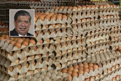 Kerajaan memberi jaminan bahawa bekalan telur ayam di negara ini kekal mencukupi dan stabil bagi memenuhi permintaan domestik. - Gambar hiasan (Gambar kecil: Mohamad)