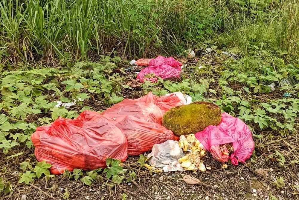 Sisa nangka yang dipercayai ditinggalkan oleh peniaga terbabit. - Foto ihsan orang awam