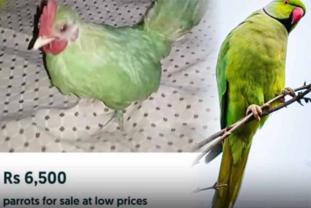 Pakar keselamatan siber menasihatkan orang ramai supaya lebih berwaspada ketika melakukan transaksi dalam talian, terutamanya di platform jual beli.