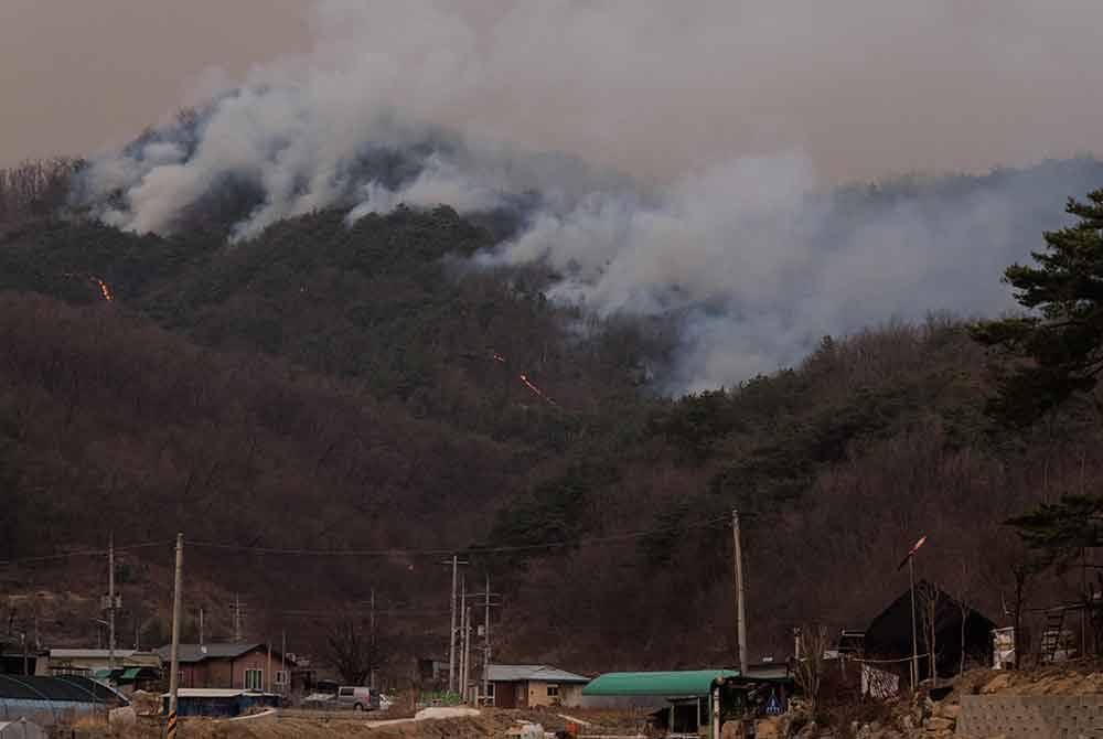 Ia dikatakan berpunca daripada kecuaian manusia.