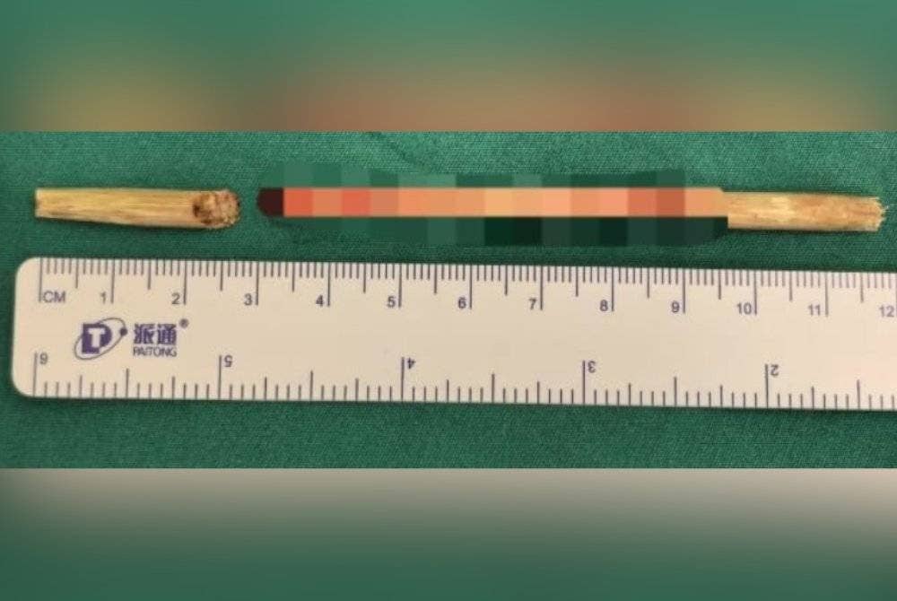 Batang buluh dengan 11 sentimeter panjang. Gambar sumber Guangzhou Daily