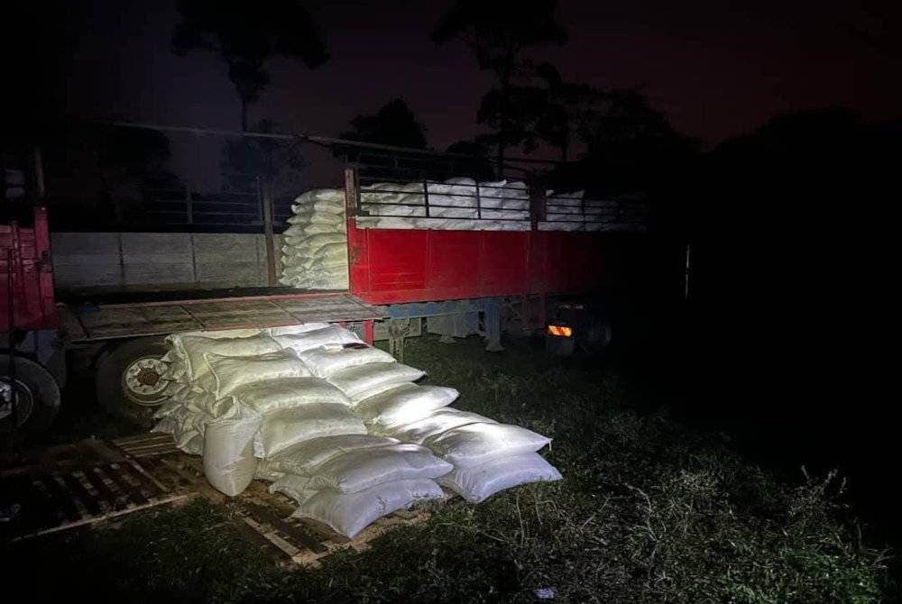 PGA merampas 21,640 kg beras Siam dipercayai untuk stok hari raya bernilai RM494,500 dalam dua serbuan berasingan di sekitar Bukit Bunga, Tanah Merah pada Rabu. Foto PGA