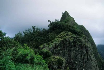 Pasangan itu berada di Pali Lookout ketika Konig dilaporkan cuba menolak isterinya hingga jatuh.-Agensi