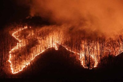 Api terus marak di lereng gunung di Uiseong pada akhir minggu lalu.