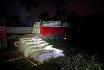 PGA merampas 21,640 kg beras Siam dipercayai untuk stok hari raya bernilai RM494,500 dalam dua serbuan berasingan di sekitar Bukit Bunga, Tanah Merah pada Rabu. Foto PGA