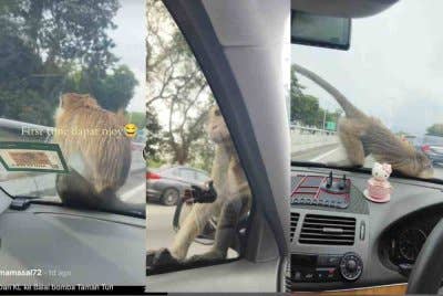 Salamiah yang berkongsi kejadian tersebut di akaun TikTok miliknya sehingga menjadi tular.