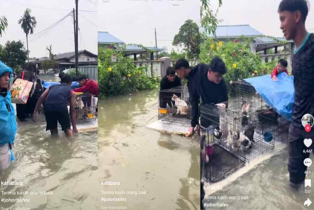 Mohamad bersama rakannya menyelamatkan beberapa kucing ketika banjir di Kampung Seri Jaya Tampoi, Johor Bharu.