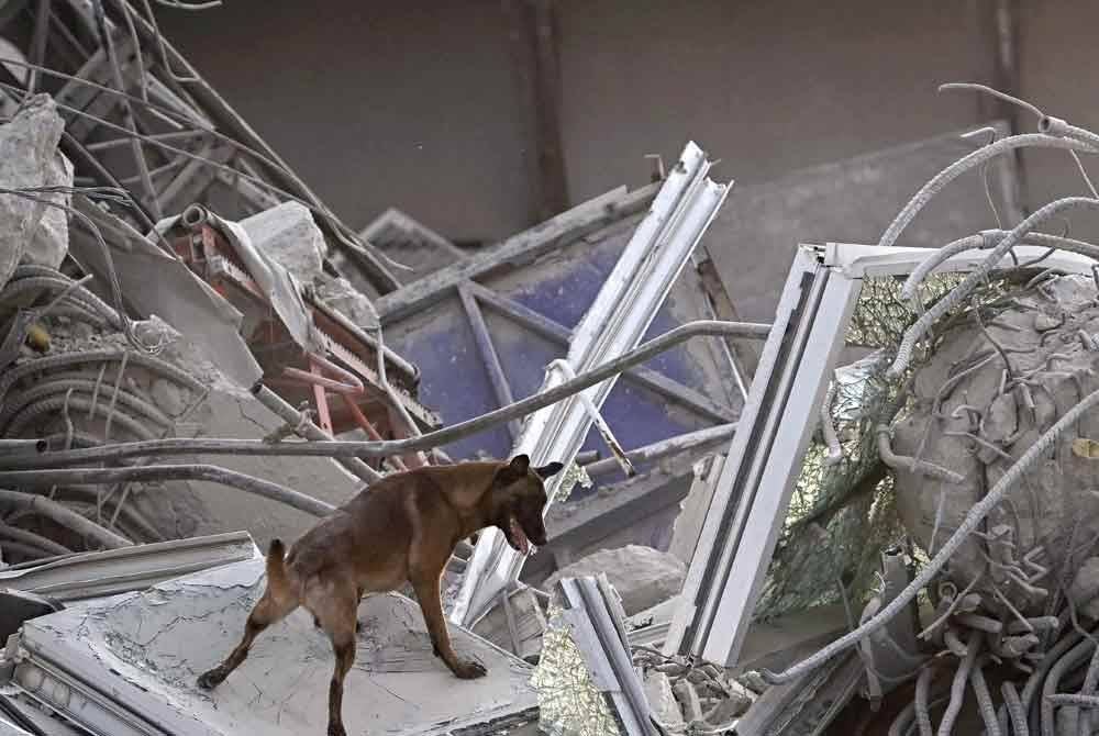 Anjing penyelamat turut menyertai operasi mencari dan menyelamat mangsa yang terperangkap di lokasi runtuhan bangunan yang sedang dalam pembinaan di Bangkok. Foto AFP