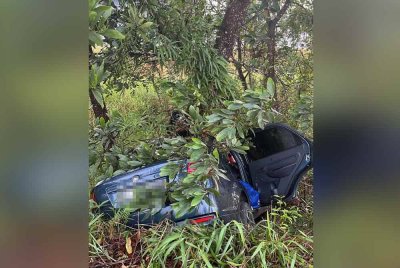 Kenderaan yang dipandu mangsa terbabas dan terlanggar pokok berhampiran Klinik Kesihatan Telupid.