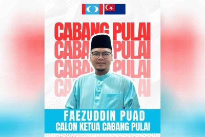 Muhammad Faezuddin Mohd Puad