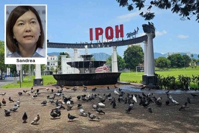 Padang Ipoh antara kawasan yang dipasang papan tanda dan bunting larangan kepada orang awam memberi makanan kepada burung merpati.