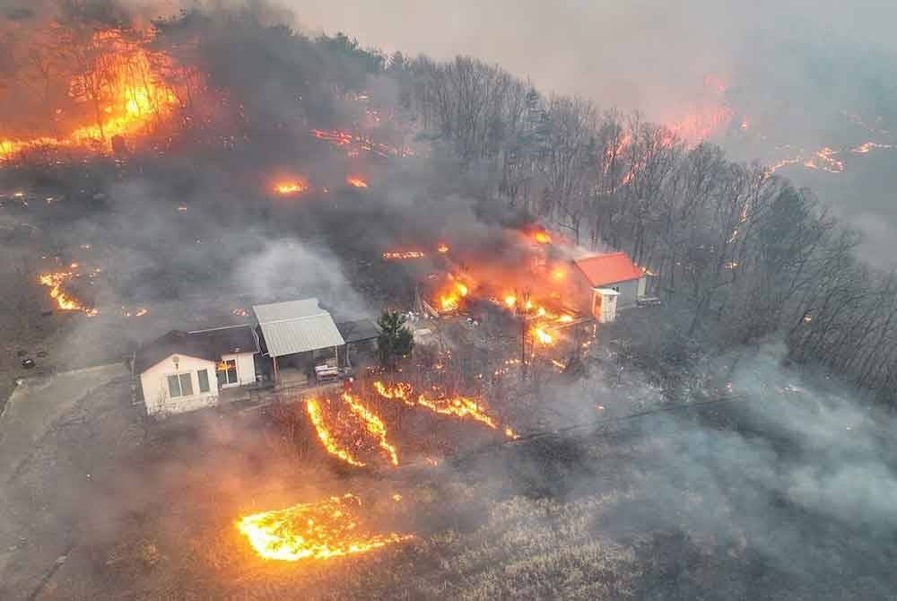 Kira-kira 48,000 hektar kawasan hutan di 11 wilayah terbakar, menyebabkan 3,307 orang kehilangan tempat tinggal.