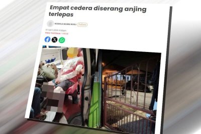 Pemilik anjing jenis Rottweiler di Taman Desa Bidara, Kuala Ketil dibebaskan dengan jaminan polis selepas haiwan peliharaannya itu menyerang lima individu sehingga cedera.
