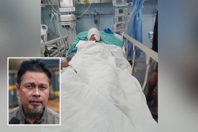Seorang lelaki Orang Asli mengalami kecederaan parah di kepala selepas diserang beruang matahari di Kampung Sungai Sinju, Simpang Pulai, Isnin lalu. Foto ihsan pembaca (Gambar kecil: Yusoff)