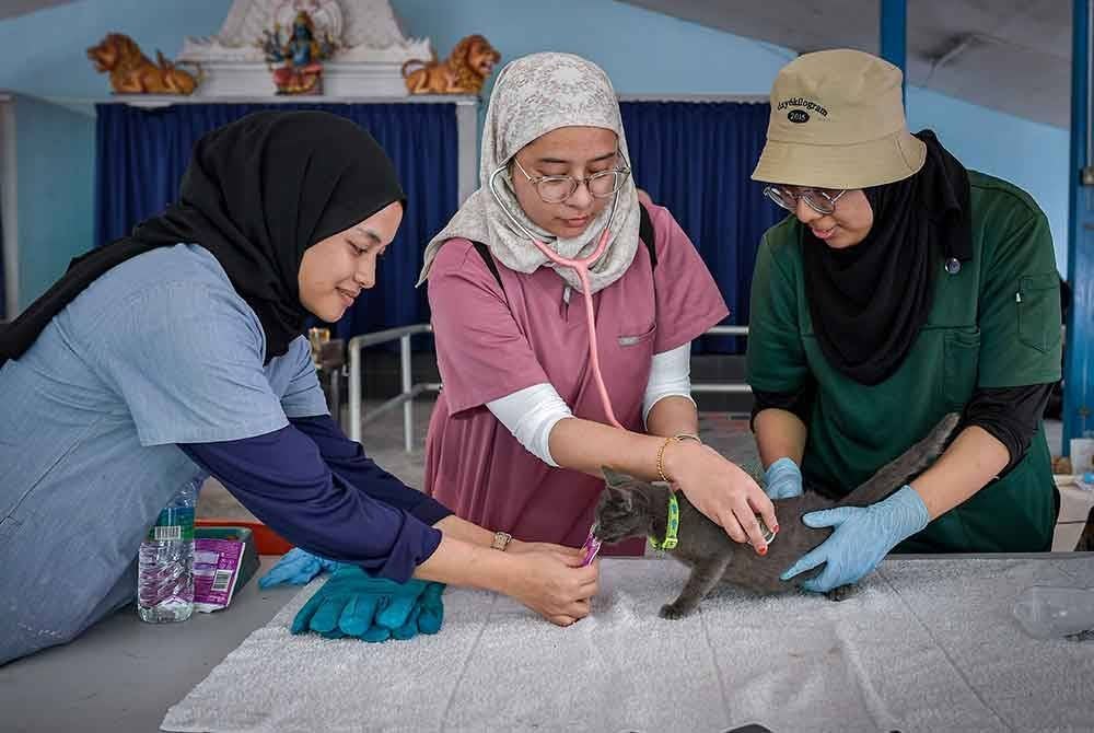 Haiwan yang berjaya diselamatkan dengan bantuan bomba, sukarelawan atau pertubuhan bukan kerajaan (NGO), akan distabilkan di pusat rawatan sebelum dipulangkan kepada pemilik atau dihantar ke klinik veterinar jika perlu. Foto Bernama