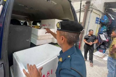 Perniagaan yang disita melibatkan penjualan makanan dan minuman yang dijalankan tanpa lesen sah.