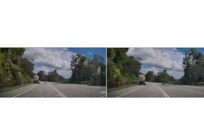 Tangkap layar video tular menunjukkan seekor harimau kumbang brrlari ke seberang jalan.