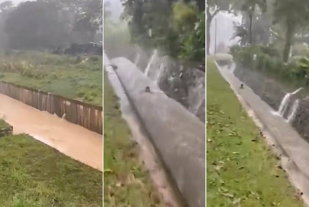 Tangkap layar video tular yang memaparkan detik cemas seorang kanak-kanak lelaki yang hanyut dibawa arus deras.