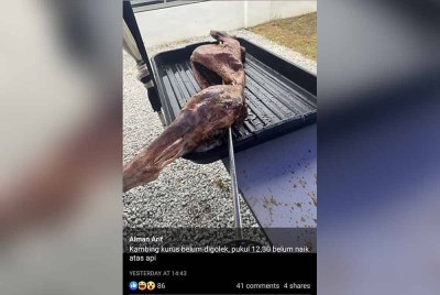 Kambing golek yang didakwa disediakan oleh pihak katering.