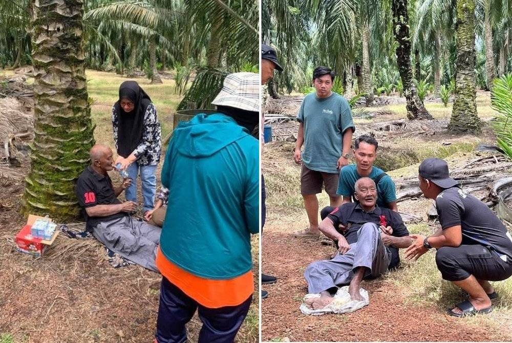 Taib Ahmad, 79, ditemukan kelaparan di kebun kelapa sawit selepas dua hari hilang. 