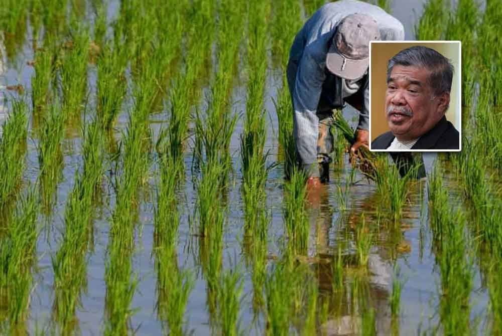 KPKM sahkan proses pengagihan sumbangan wang ihsan kepada lebih 200,000 pesawah di seluruh negara telah bermula. Gambar kecil: Mohamad
