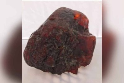 Ia adalah batu ambar terbesar pernah ditemui di dunia setakat ini. Foto Agensi