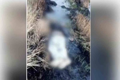 Mayat yang ditemui mati di sebuah sawah padi di Wilayah Chai Nat, Thailand, pada Khamis lalu.