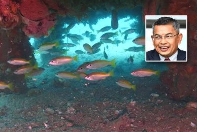 Antara kawasan tukun tiruan yang menjadi habitat pembiakan ikan di sepanjang pantai Terengganu. FOTO: Facebook Dr Azman Ibrahim
