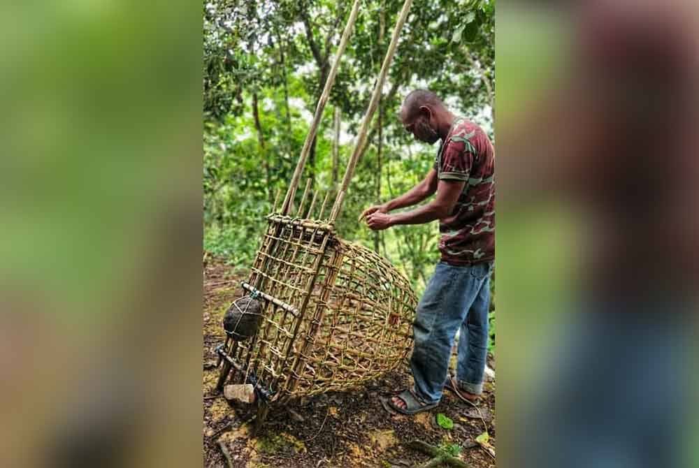 Pok Mat teliti menghasilkan terubin yang memerlukan tempoh sekurang-kurangnya seminggu untuk disiapkan.
Foto ihsan Pok Mat