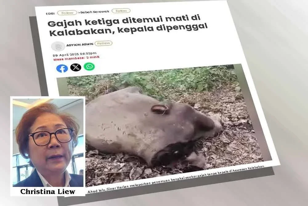 Laporan Sinar Harian berkaitan gajah ditemui mati dengan kepala dipenggal.