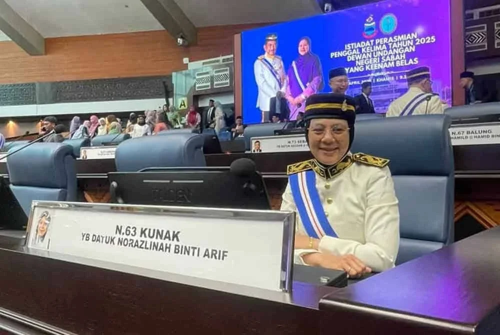 Datuk Norazlinah Arif (Gagasan Rakyat–Kunak) menerima kecaman daripada wakil rakyat blok pembangkang susulan tindakannya membangkitkan semula insiden ditumbuk.
