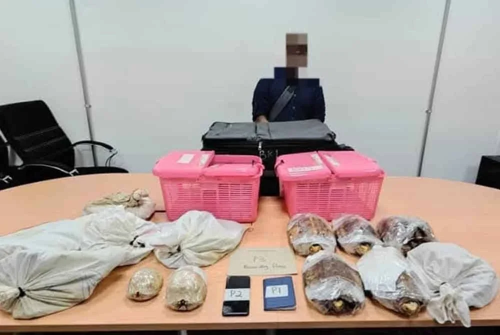 Kesemua haiwan berkenaan telah disita dan nilai sitaan dianggarkan berjumlah RM13,000.