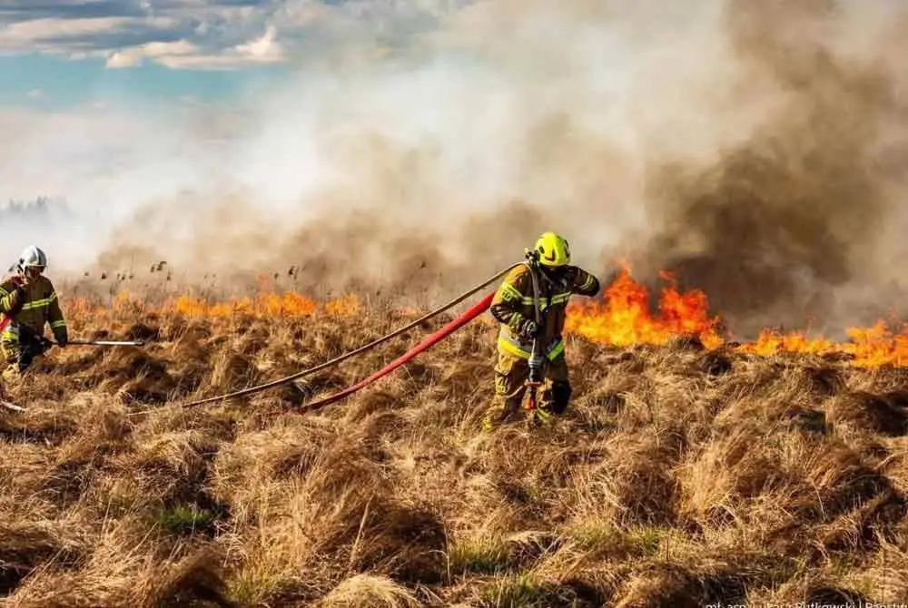 Kebakaran hutan besar memusnahkan kira-kira 400 hektar kawasan di Taman Negara Biebrza di timur laut Poland.
